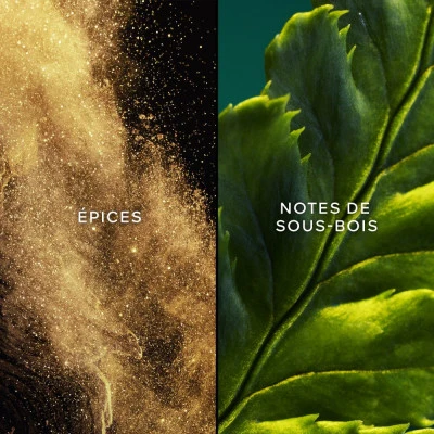 Guerlain Vol De Nuit Eau De Toilette 3 Guerlain Vol De Nuit Eau De Toilette – Image 3